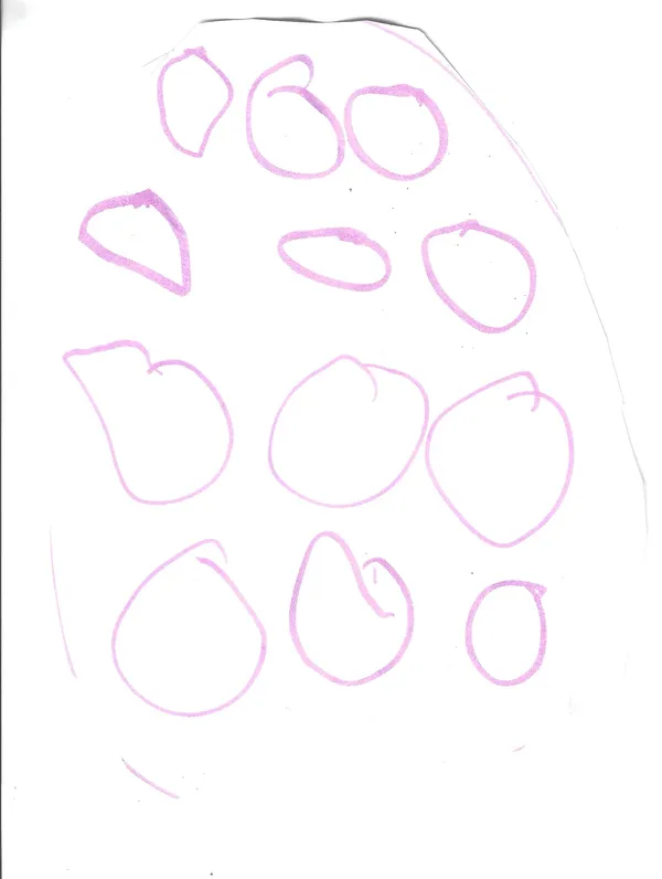 Summer Handwriting and Drawings